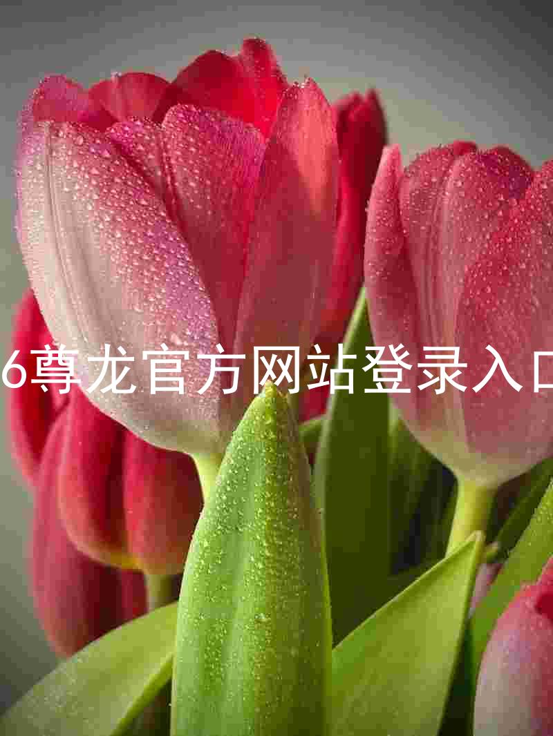 z6尊龙官方网站登录入口