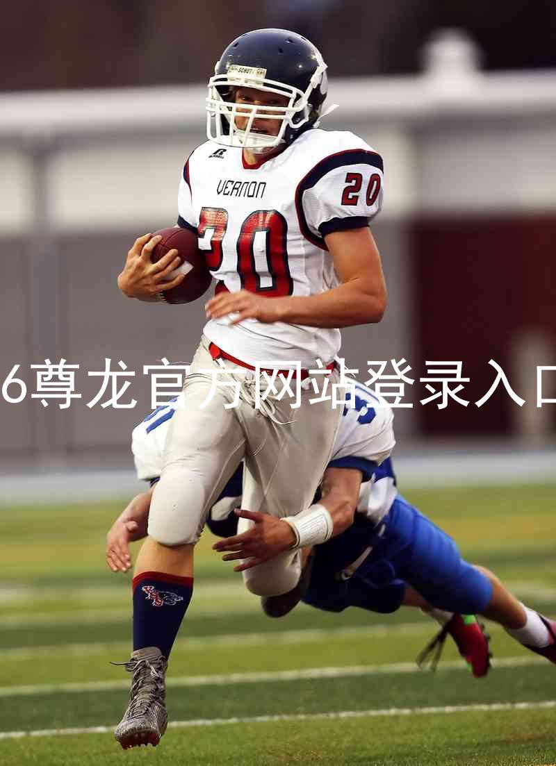 z6尊龙官方网站登录入口